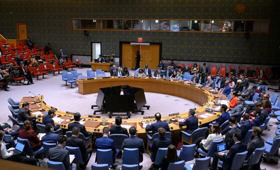 Заседание Совета Безопасности ООН.